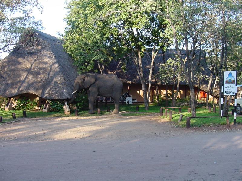 Lokuthula Lodges Victoria Falls Kültér fotó